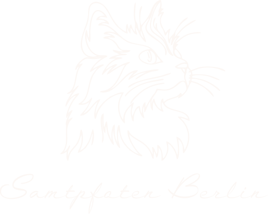 Lisas Samtpfoten Berlin